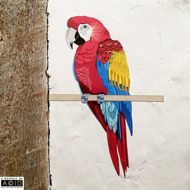 Photo inspiration: Gallery Detail: Parrot Decal