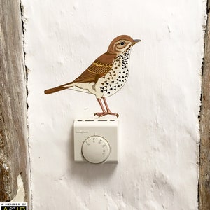 Song Thrush Wall Decal, Bird Wall Sticker, Bird Decal, Bird Decor, Bird Gift, Woodland Wall Decals, Kitchen Decor, Gift For Her