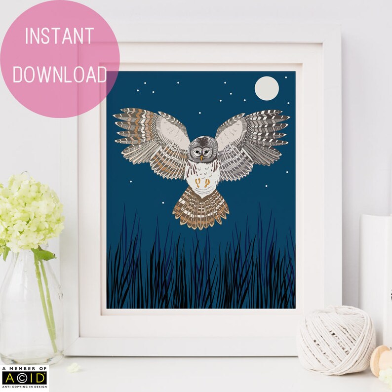 May include: A digital illustration of an owl flying in front of a blue night sky with a full moon and stars. The owl has brown, white, and gray feathers. The owl is flying over tall blades of grass.