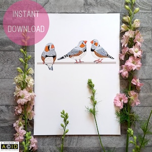 Zebra Finch Wall Art, Home Gift, Bird Art, Bird Wall Decor, Printable Art, Print, Art Print, Instant Download, Living Room Decor