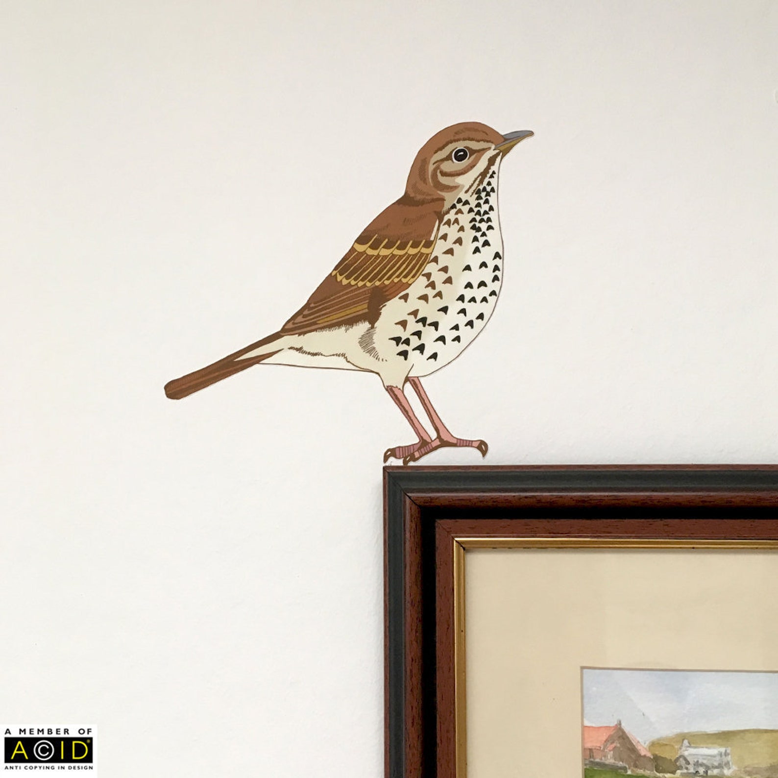 Thrush Bird Sticker Song Thrush Wall Decal, Bird Wall Sticker, Bird Decal, Bird Decor, Bird ...