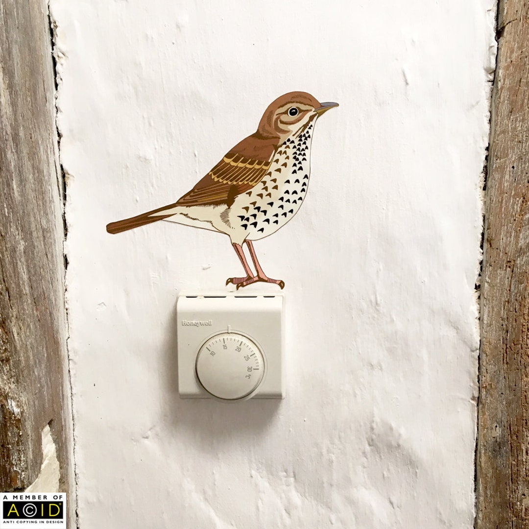 Thrush Bird Sticker Song Thrush Wall Decal, Bird Wall Sticker, Bird Decal, Bird Decor, Bird ...