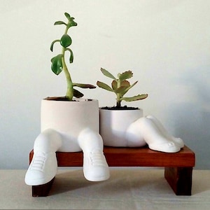 Mini friends planter with ballerinas image 3