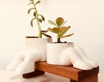 Planters with feet + little bench - Cute combo