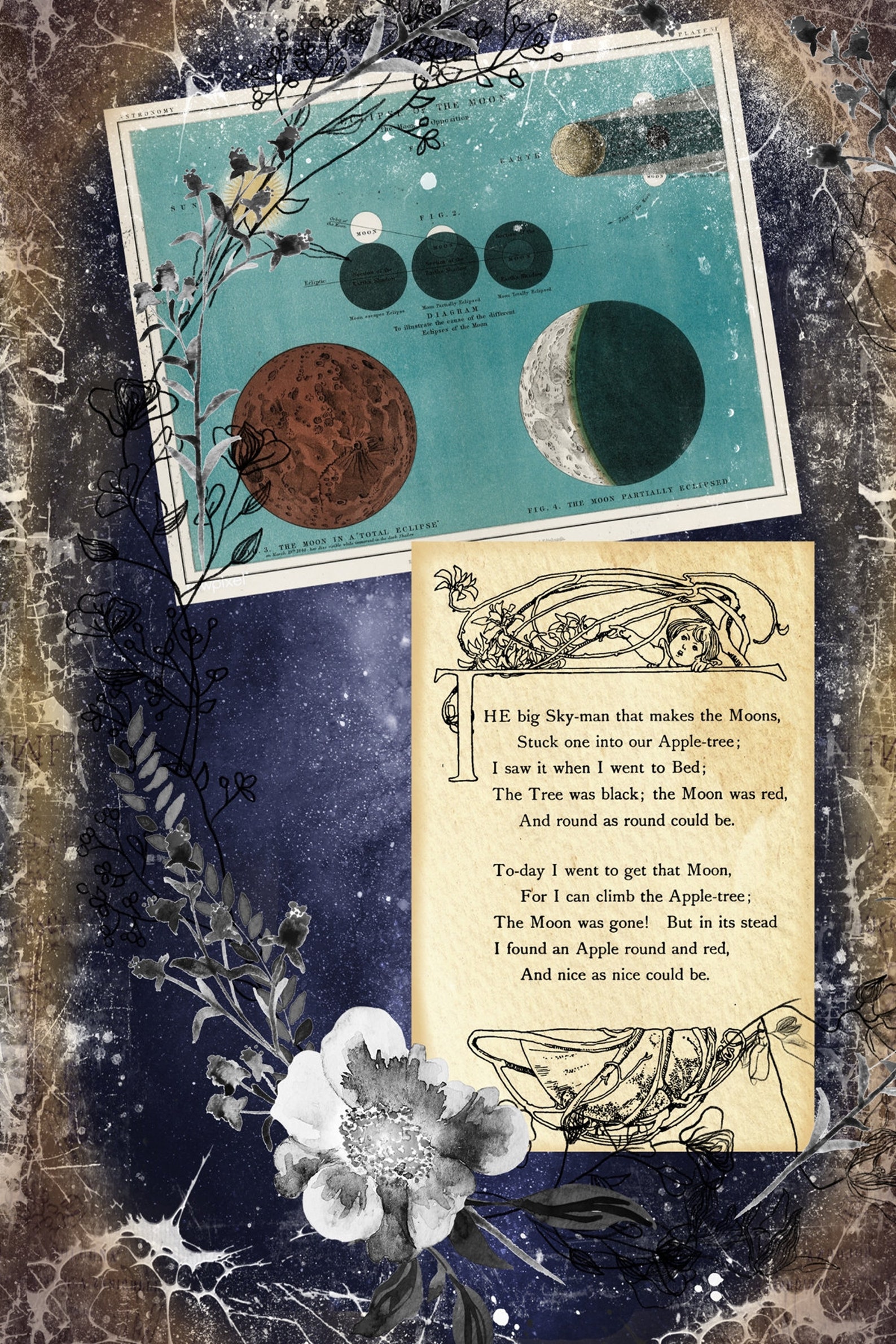 Astronomy essay ideas image