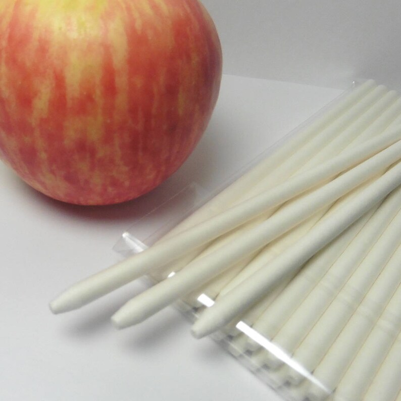 20pcs Pointed Sticks for Candy Apples Lollipops Cake Pops Etsy