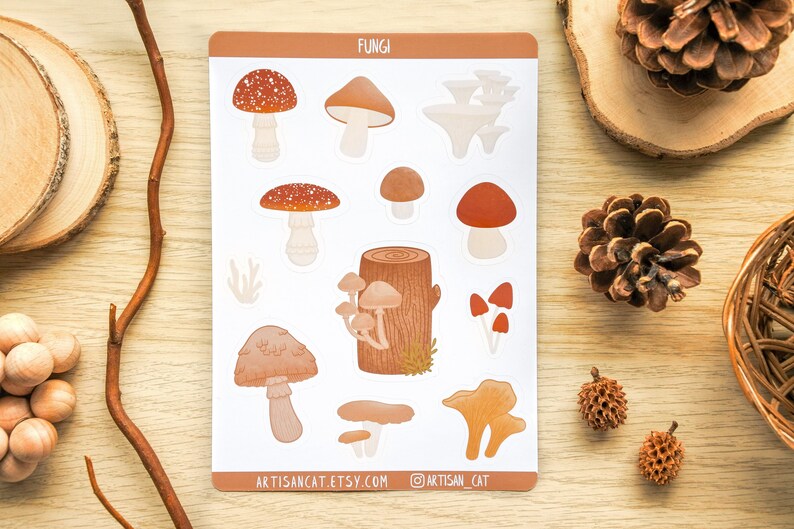 A sticker sheet featuring digitally illustrated fungi / mushrooms in warm tones. The sticker sheet is laid out on a wooden table surrounded by natural props such as pinecones, wood slices & a twig