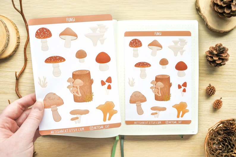 Fungi Mushroom Sticker Sheet Aesthetic Whimsical Cottagecore Art, Forestcore Nature Themed Stickers for Journals / Planners / Scrapbooks image 6