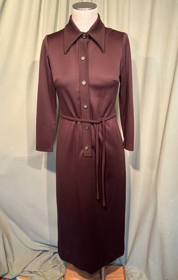 Sweet Original Vintage 70s Lady Windsor Dark Brown Polyester Long Sleeve Button Front Maxi Dress Bust 34 Waist 31