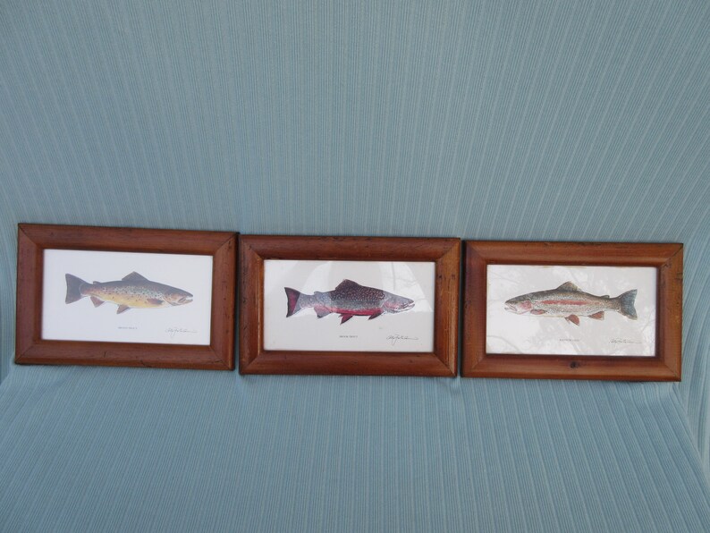 Set of three Vintage 11x7 framed freshwater fish trout prints pictures river lake fly fishing decor man cave reels baby boy/'s nursery room