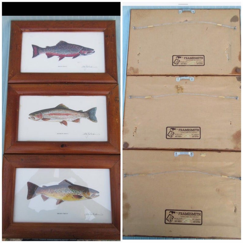 Set of three Vintage 11x7 framed freshwater fish trout prints pictures river lake fly fishing decor man cave reels baby boy/'s nursery room