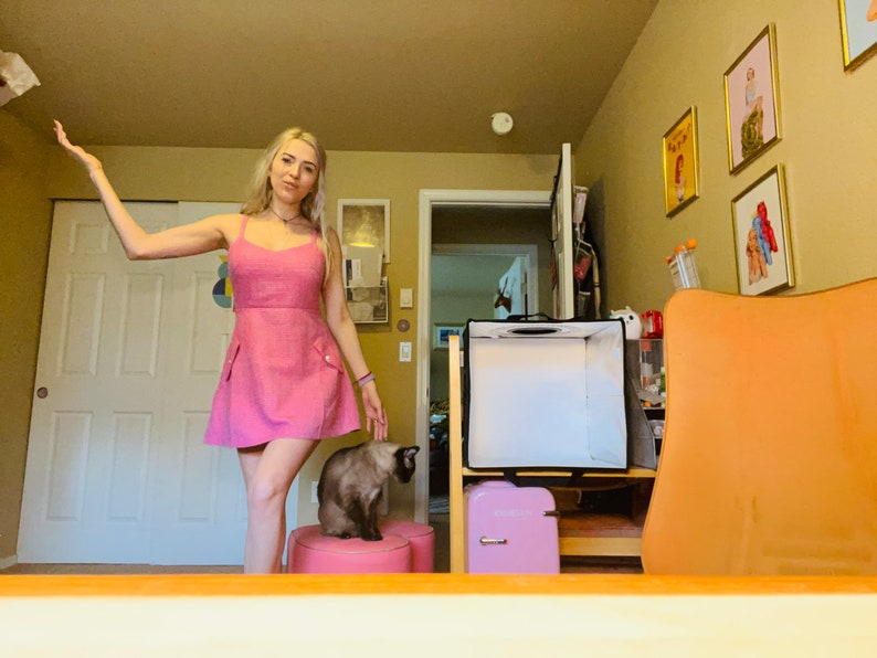 K&ouml;nnte beinhalten: Eine Frau in einem rosa Kleid steht in einem Raum mit einer Katze, die auf einem rosa Hocker sitzt. Im Hintergrund befinden sich eine wei&szlig;e Lichtbox und ein rosa Minik&uuml;hlschrank.