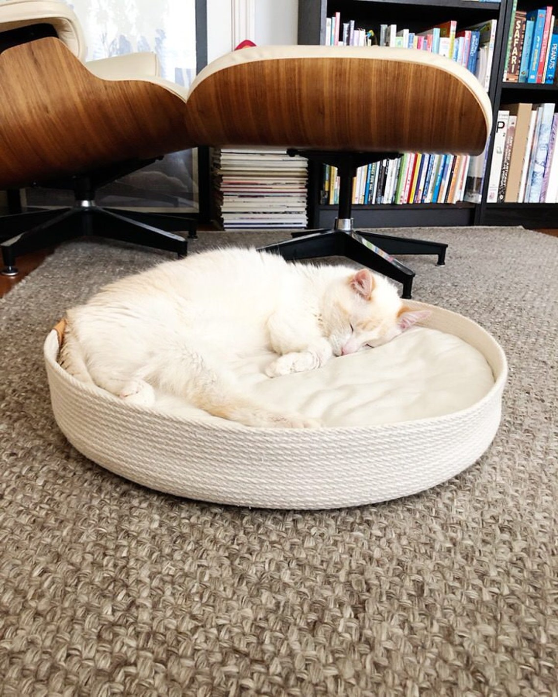 Buy Rope Pet Bed in White Minimal Modern Cat Bed Online in India Etsy
