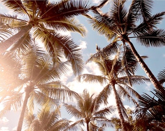 Palm tree print | Surfing decor | Island vibes | Interior Design Palm tree prints | Holiday palm tree vibes | Palm leaves art