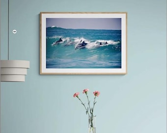 Dolfijnfotografie | Surffotografie | Golffotografie | Dolfijn golven surfen | Strandfoto's Australië | Dolfijnprint | Oceaanprints |