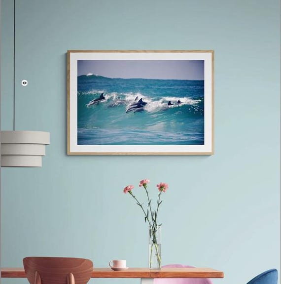 Dolphin Photography | Surf Photography | Wave Photography