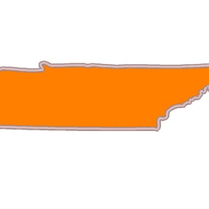May include: An orange-colored embroidered patch in the shape of the state of Tennessee. The patch has a light pink border and is set against a white background. The design is a simple outline of the state's shape.