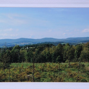 Vermont photo rustic card, New England photo notecard, get well card for nature lover, green trees blank greeting card, thank you note image 1