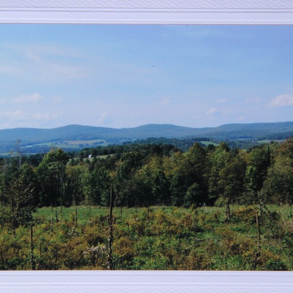 Vermont photo rustic card, New England photo notecard,  get well card for nature lover, green trees blank greeting card, thank you note