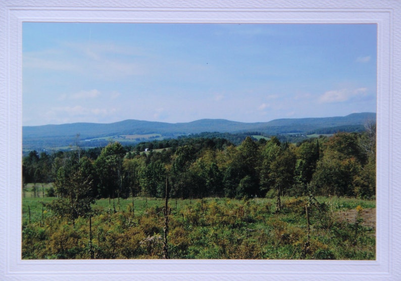 Vermont photo rustic card, New England photo notecard, get well card for nature lover, green trees blank greeting card, thank you note image 1