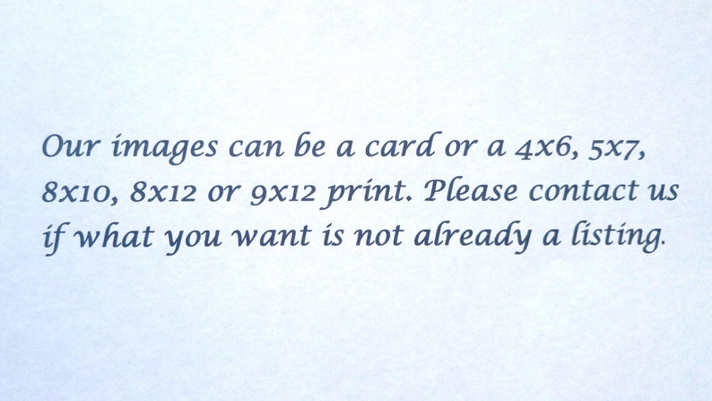 May include: Text on a white background that reads: "Our images can be a card or a 4x6, 5x7, 8x10, 8x12 or 9x12 print. Please contact us if what you want is not already a listing."