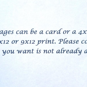 May include: Text on a white background that reads: "Our images can be a card or a 4x6, 5x7, 8x10, 8x12 or 9x12 print. Please contact us if what you want is not already a listing."