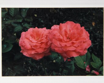 Floral card, pink roses, romantic card for wife, thank you note, anniversary card love note, birthday card