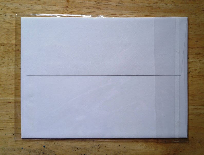 May include: A white card with a black line across the middle, inside a clear plastic sleeve.