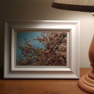May include: A white picture frame with a photograph of a pink flowering tree against a blue sky.