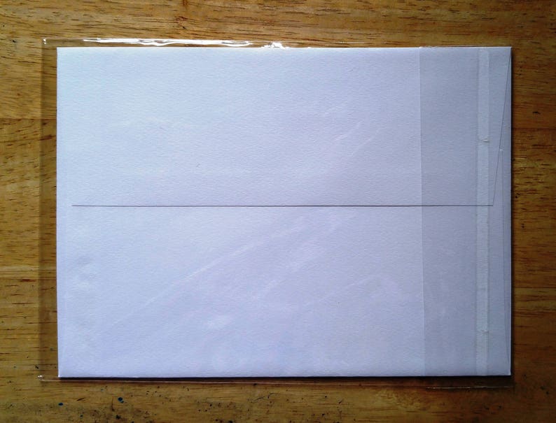 May include: A white card with a thin black line across the middle, inside a clear plastic sleeve.