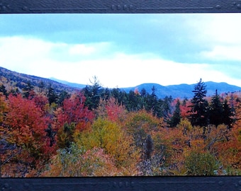 White Mountains photo notecard, best selling item, New Hampshire autumn leaves, New England forget me not card, fall birthday card