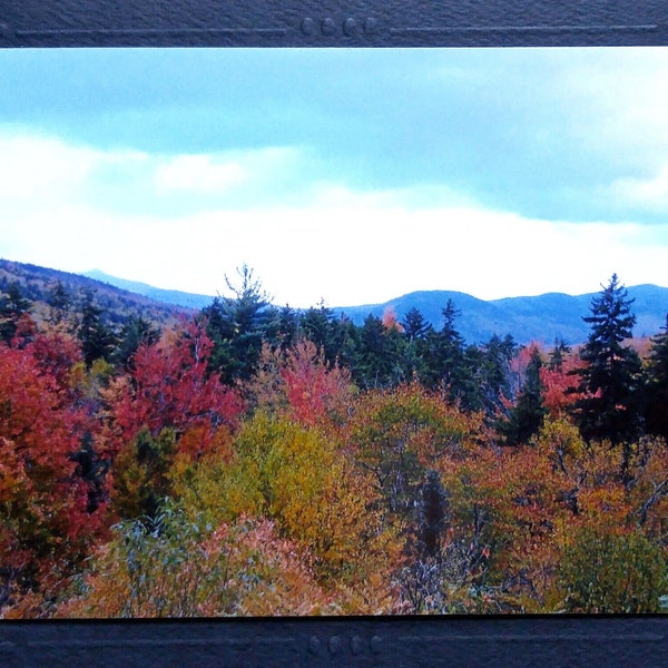 White Mountains photo notecard, best selling item, New Hampshire autumn leaves, New England forget me not card, fall birthday card