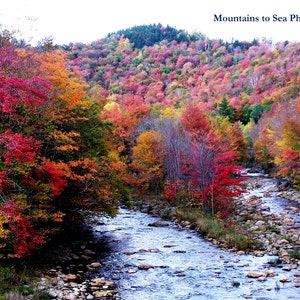 Autumn leaves 5x7 print, New England landscape print, fall foliage Vermont photo, rustic home decor, nature lover gift, mantel decor