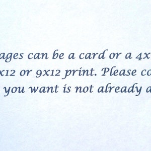May include: Text on a white background that reads: Our images can be a card or a 4x6, 5x7, 8x10, 8x12 or 9x12 print. Please contact us if what you want is not already a listing.