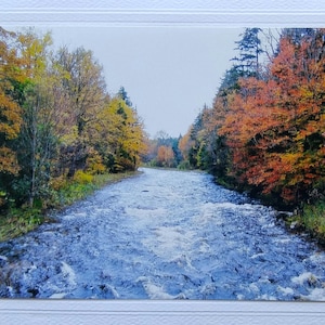 May include: A river flows through a forest in autumn. The trees are a mix of yellow, orange, and red. The water is blue and the riverbed is rocky.