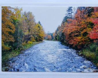 Vermont photo note card, autumn card, best selling item, fall leaves blank greeting card, New England most sold item, thank you note