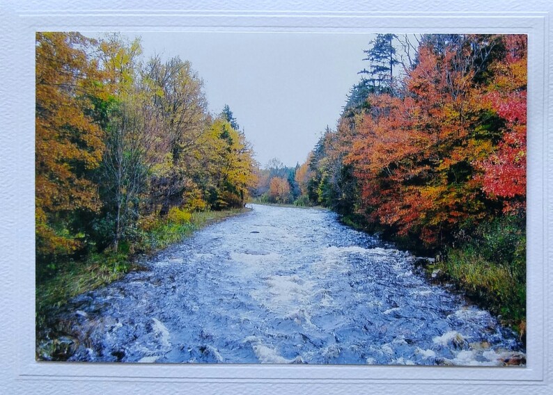 Vermont photo note card, autumn card best selling item, fall leaves blank greeting card, New England most sold item, thank you note image 1