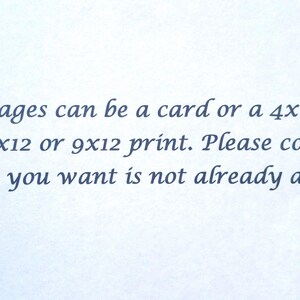 May include: Text on a white background that reads: "Our images can be a card or a 4x6, 5x7, 8x10, 8x12 or 9x12 print. Please contact us if what you want is not already a listing."