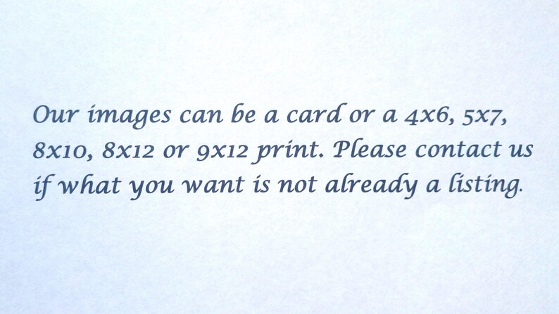 May include: Text on a white background that reads: "Our images can be a card or a 4x6, 5x7, 8x10, 8x12 or 9x12 print. Please contact us if what you want is not already a listing."