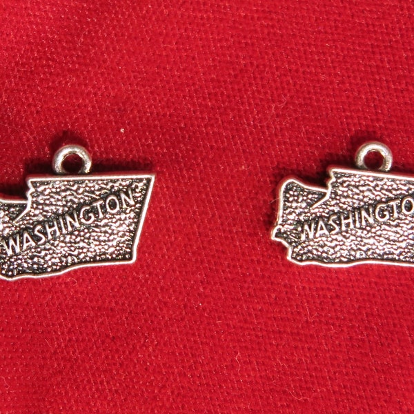 BULK! 15pc "Washington" charms in antique silver style (BC1087B)