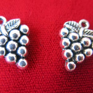 May include: Two silver-toned grape charms with a detailed design. Each charm features a cluster of grapes with leaves.