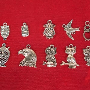10pc set &quot;owl and bird&quot; charms in antique silver style (BC1266)