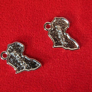 10pc &quot;Africa&quot; charms in silver style rhodium plated (BC956)