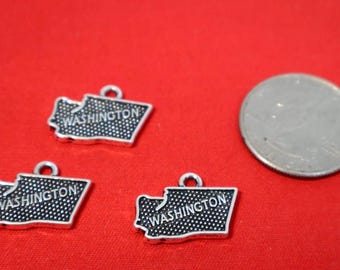 5pc "Washington" charms in antique silver style (BC1087)