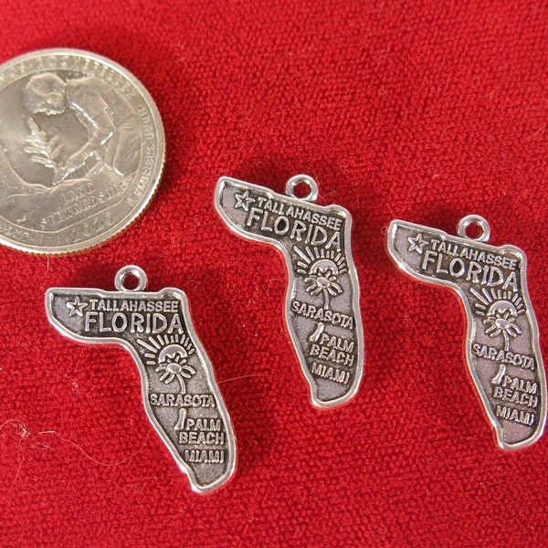 10pc "Florida" charms in antique silver (BC1231)