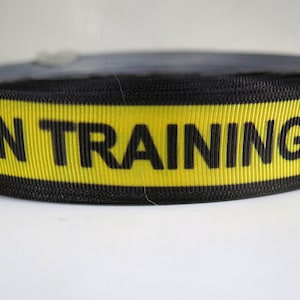 Navy Accession Training Service Ribbon