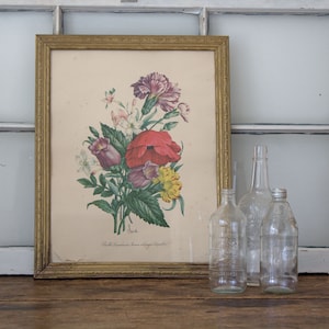 Framed Botanical Print, Vintage Botanical Print, Antique Wall Decor, Antique Print, Red, Purple, and Yellow Botanical Print Wall Hanging