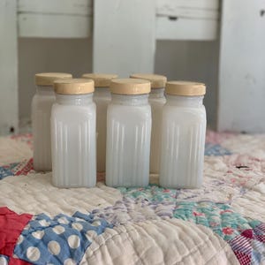 Recipientes para especias de vidrio de leche, juego de recipientes vintage de vidrio de leche, seis recipientes para especias de vidrio de leche, botellas vintage de especias, vidrio de leche vintage