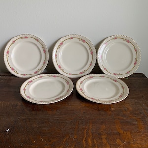 Juego de platos para el almuerzo con guirnalda de rosas de Johnson Brothers, platos para el almuerzo con rosas rosas