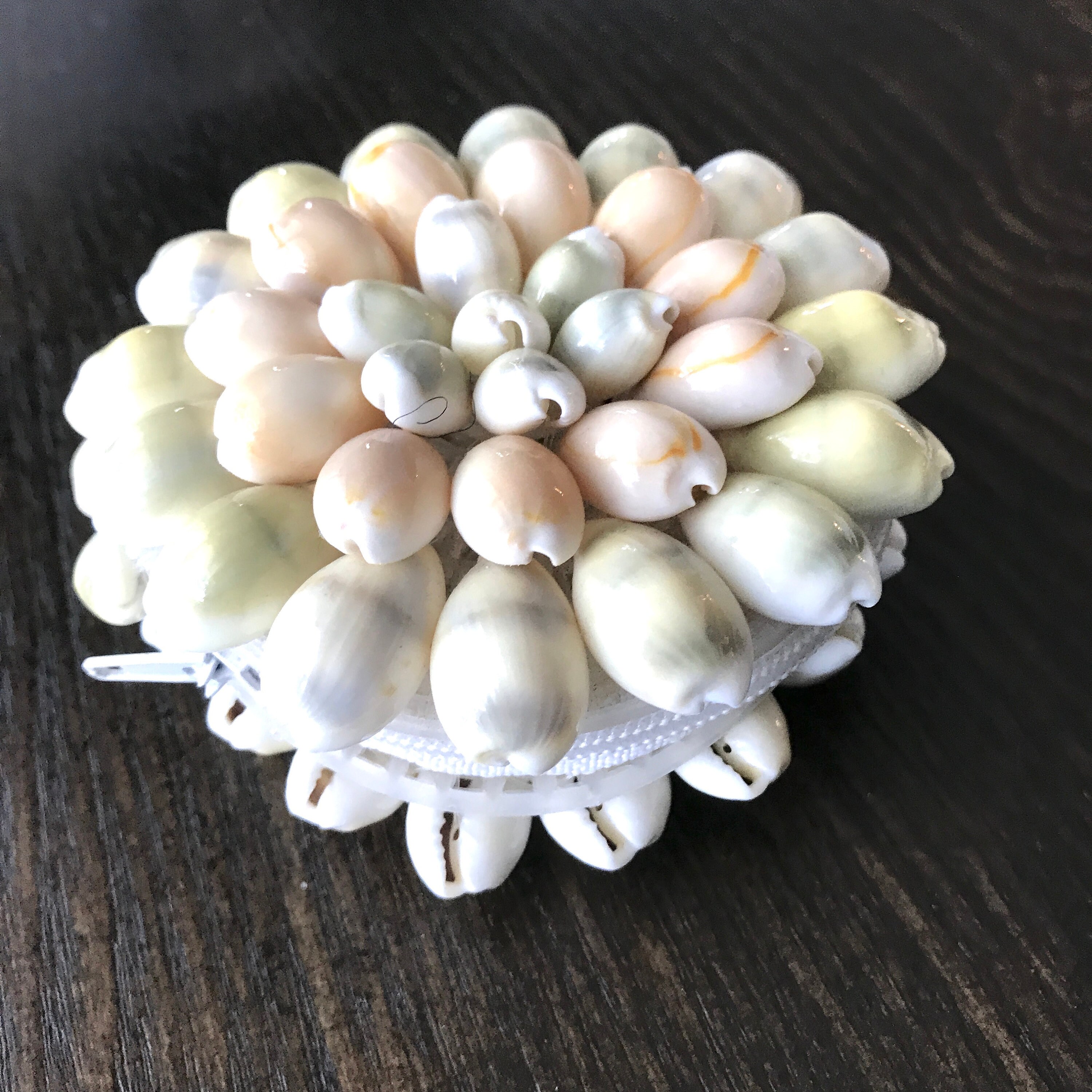 Vintage Small Seashell Coin Purse Etsy